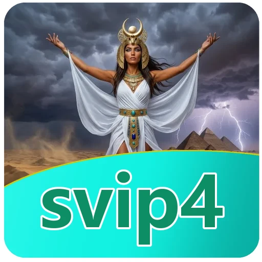 Tim svip4